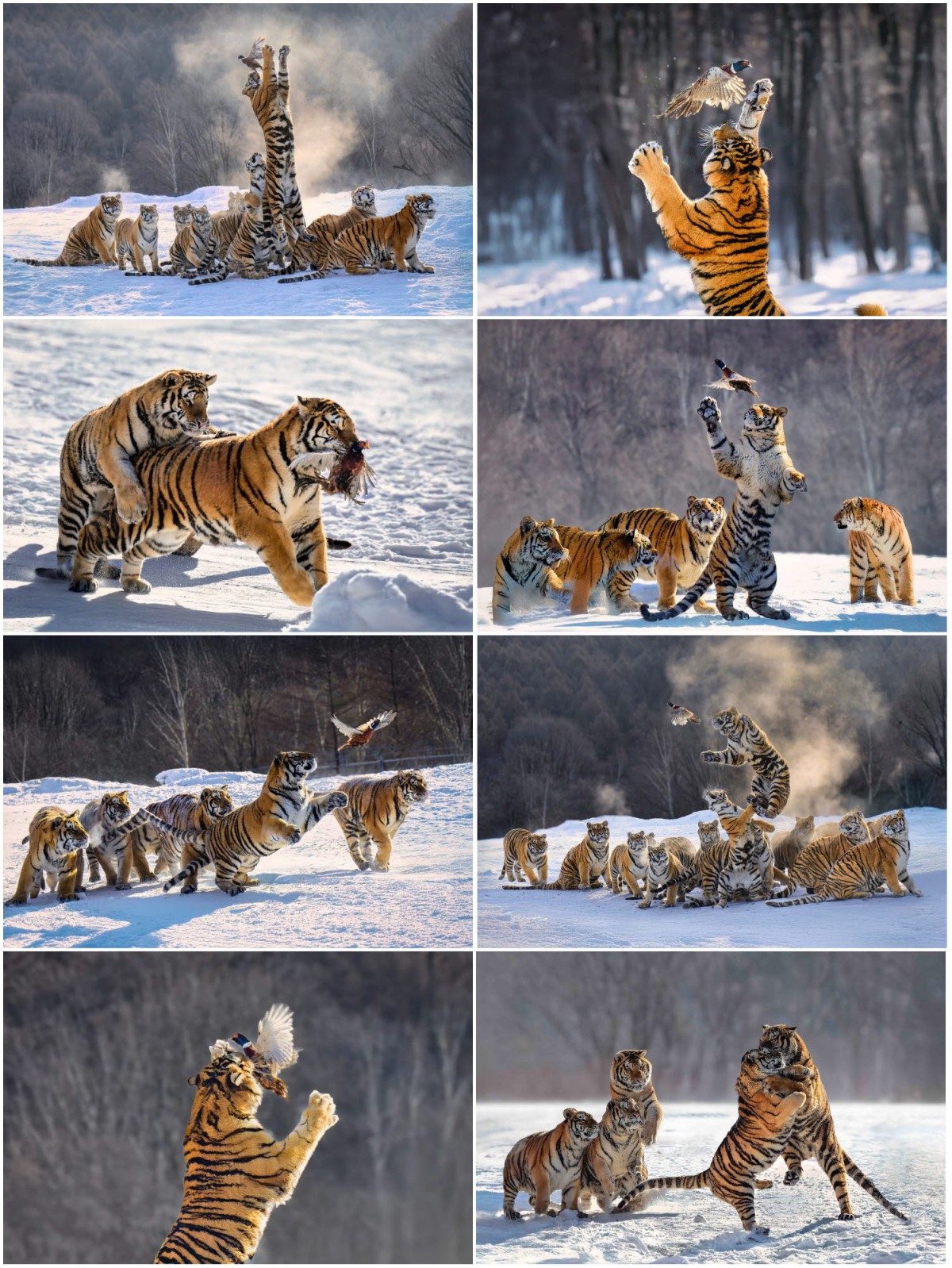 05fcbb20fd06a52b00221019f12f7649_1748884