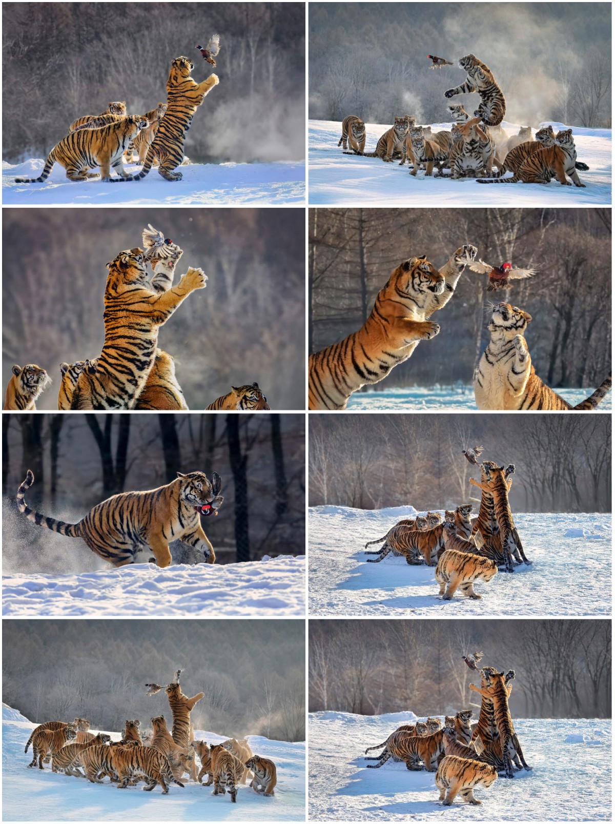 05fcbb20fd06a52b00221019f12f7649_1748884