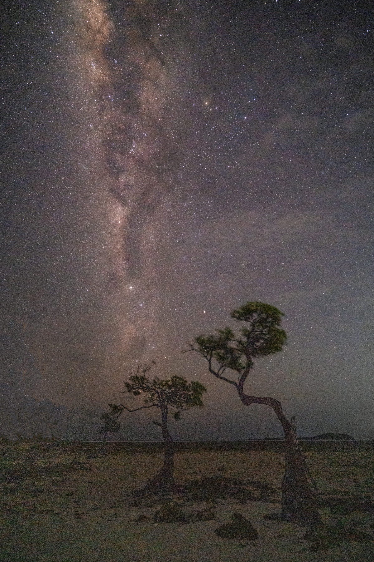 863a94c2c357a29b12cb3e5acceff1da_1751297