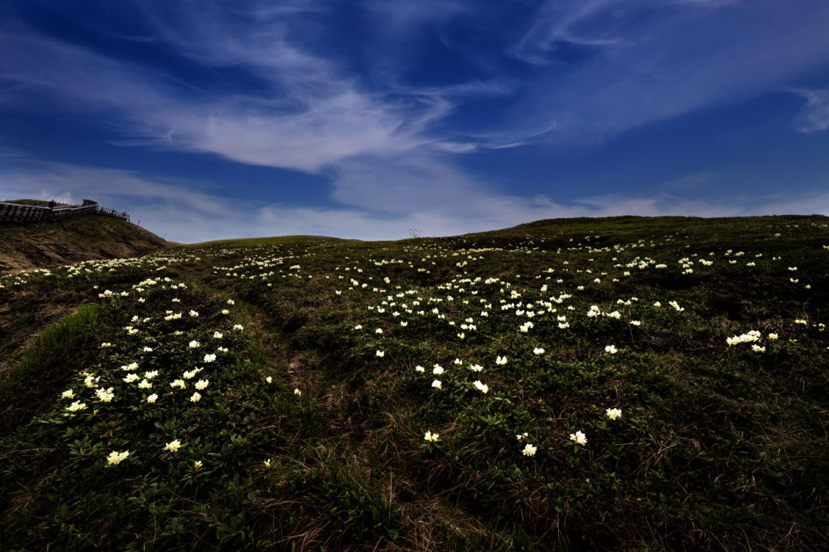 fd904936ea7ae7f1340c869d092db5c9_1751653