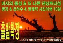 출발확정 댄싱트리 투