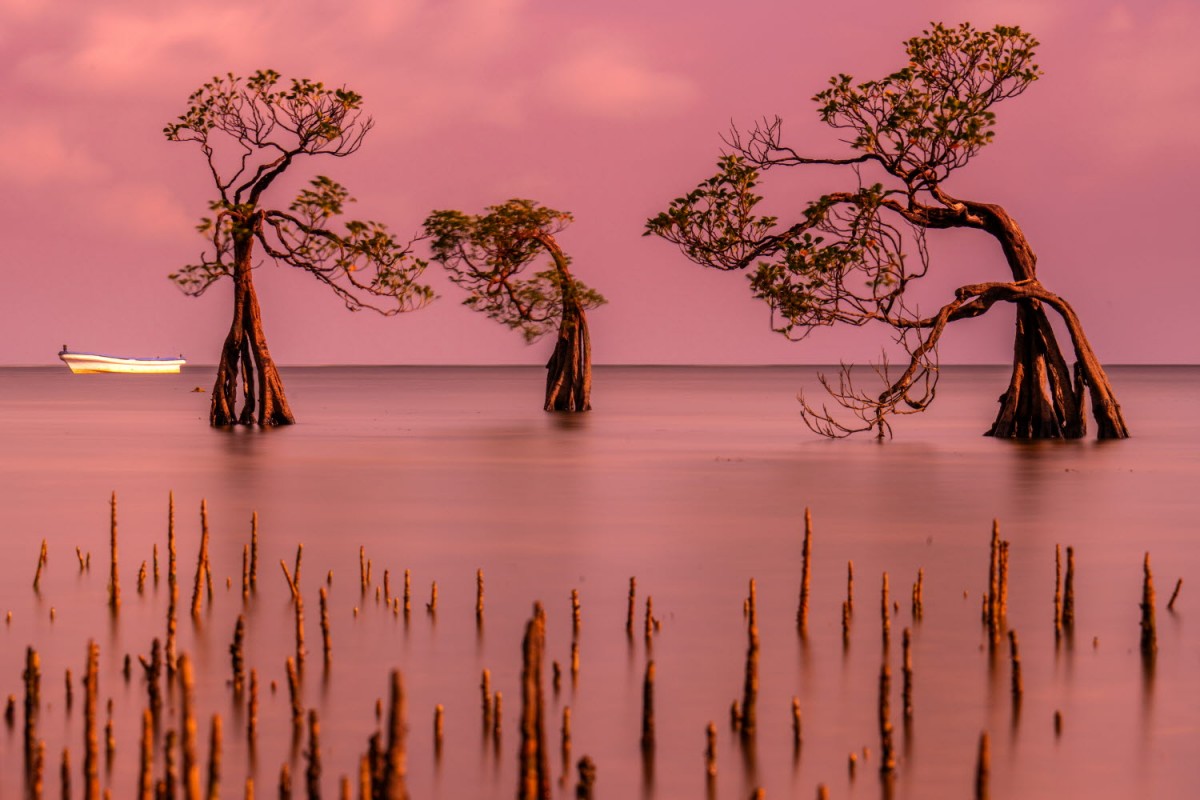 66e43706b64861e835326dbcfdfc9571_1759422