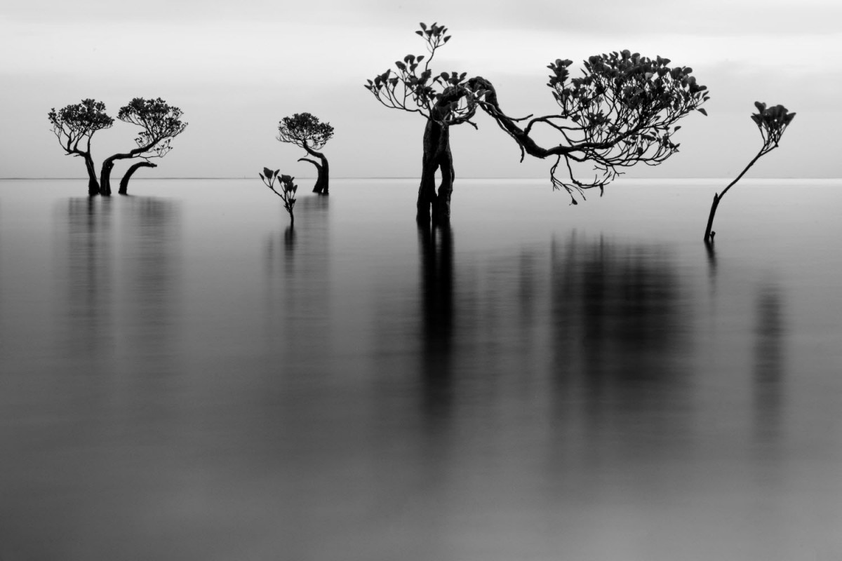 66e43706b64861e835326dbcfdfc9571_1759422