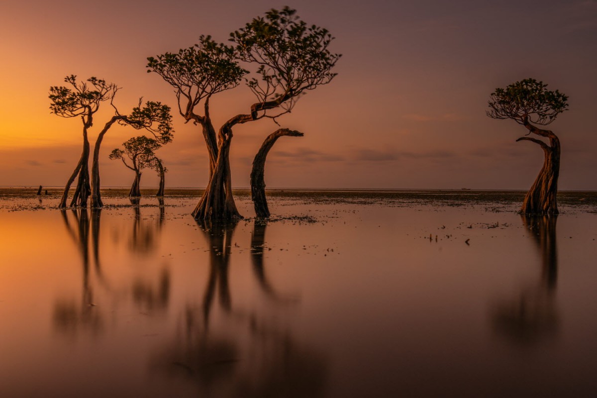 66e43706b64861e835326dbcfdfc9571_1759422