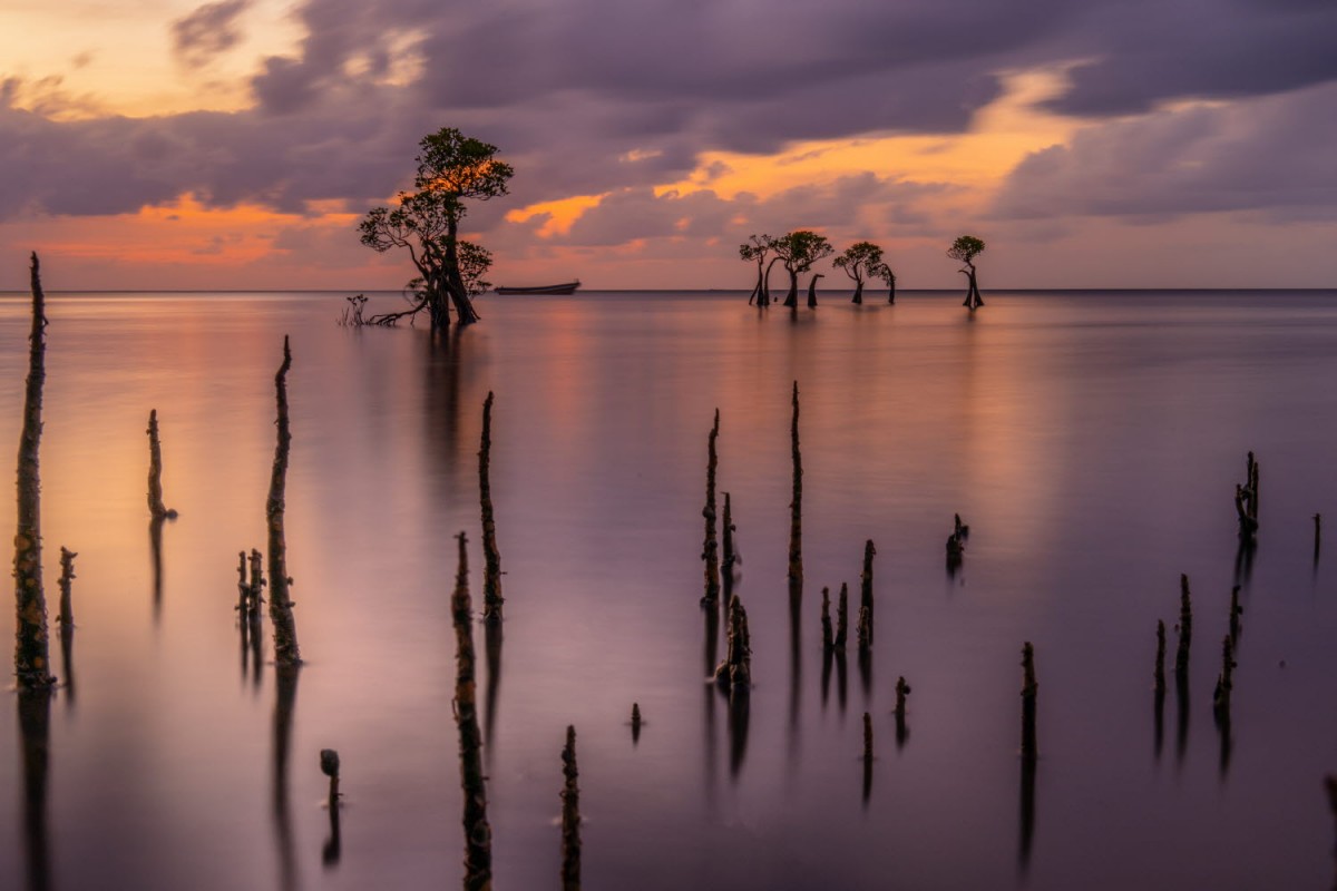 66e43706b64861e835326dbcfdfc9571_1759422