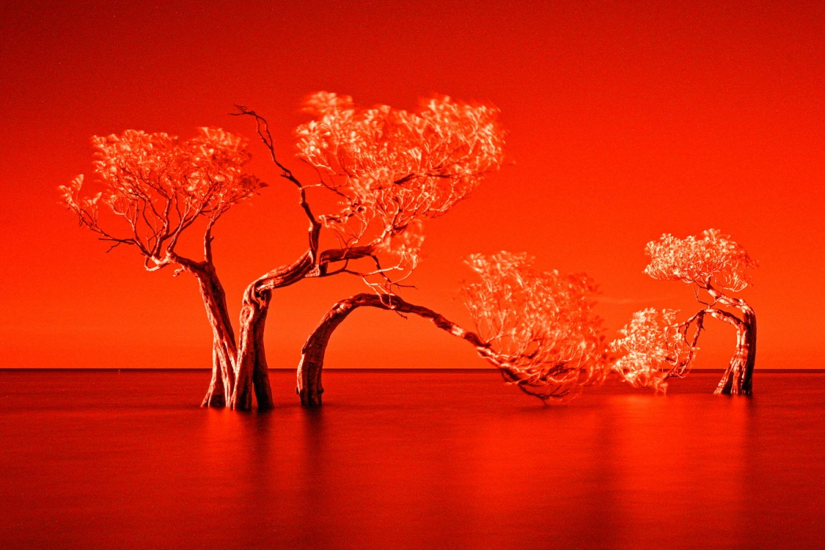 66e43706b64861e835326dbcfdfc9571_1759423