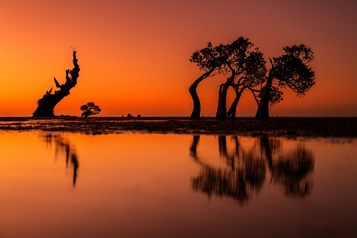 66e43706b64861e835326dbcfdfc9571_1759437