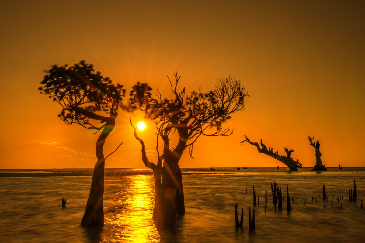 66e43706b64861e835326dbcfdfc9571_1759437