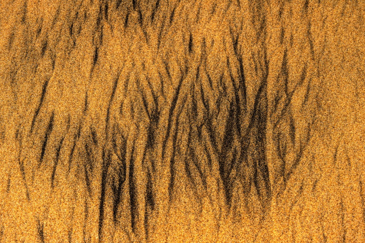 a899c22b7665293c0961f218f8e5df9a_1759494