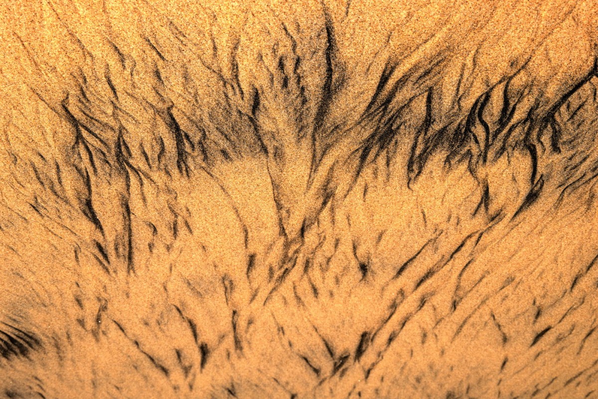 a899c22b7665293c0961f218f8e5df9a_1759494