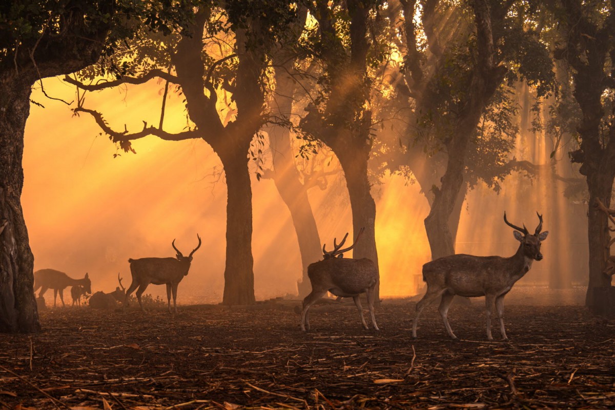 a899c22b7665293c0961f218f8e5df9a_1759496