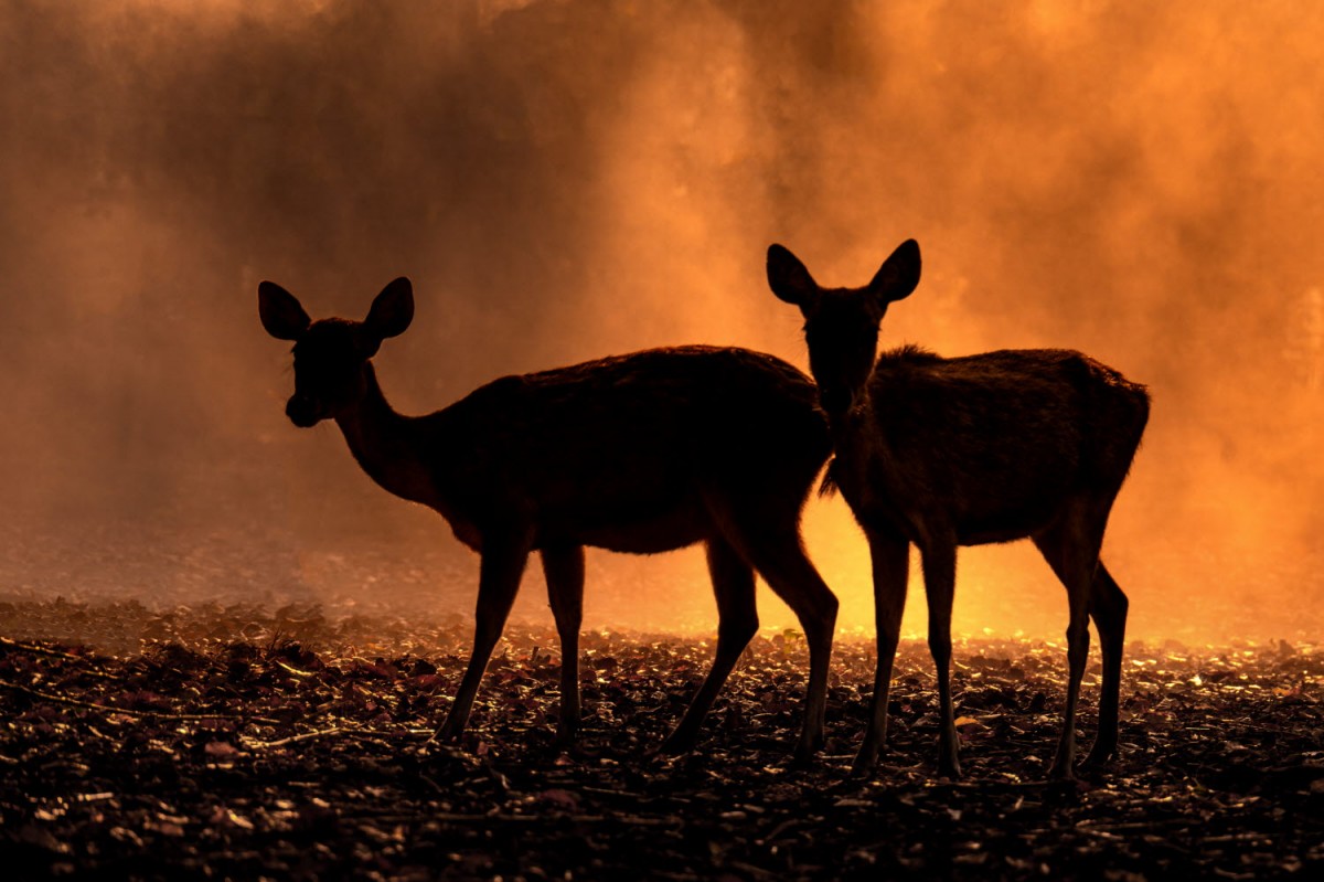 a899c22b7665293c0961f218f8e5df9a_1759502