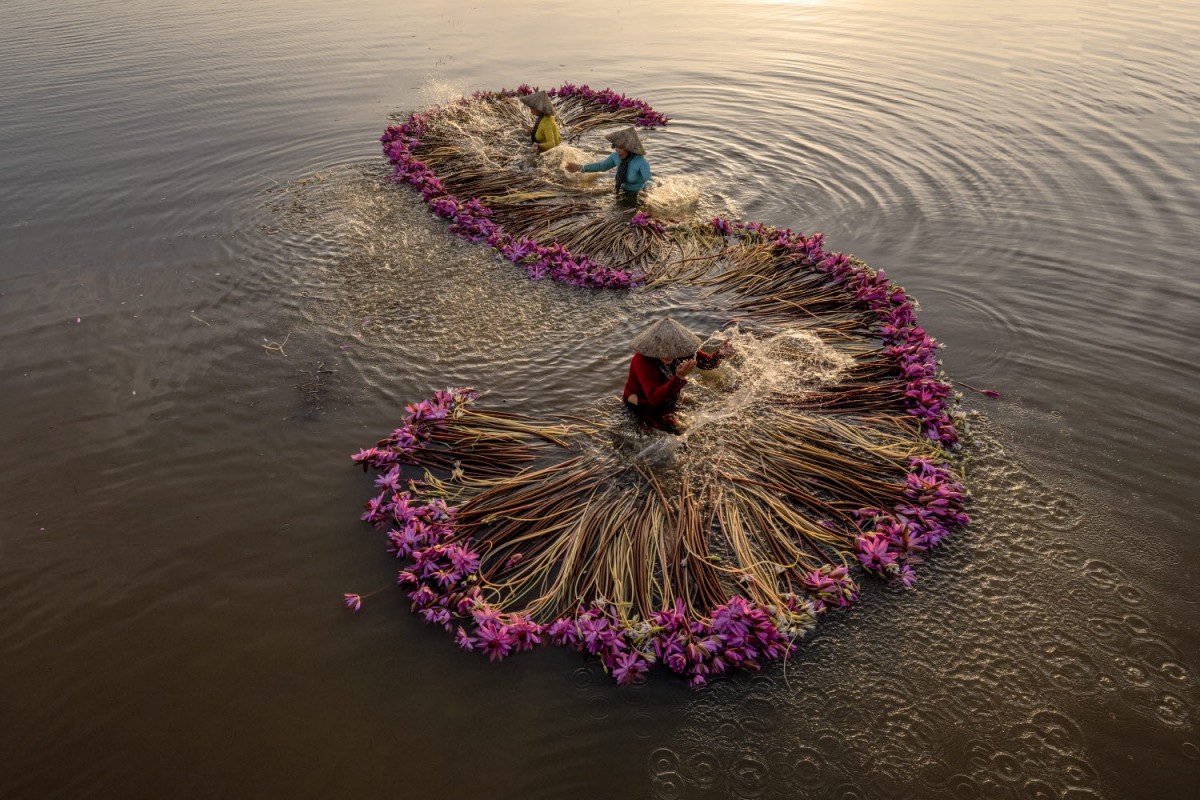 4ba9f169a7cd41ecad88e95d958c84ae_1763551