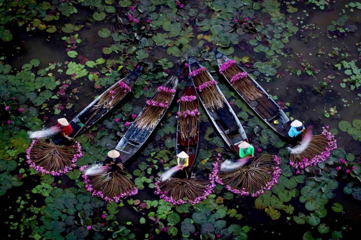 4ba9f169a7cd41ecad88e95d958c84ae_1763551