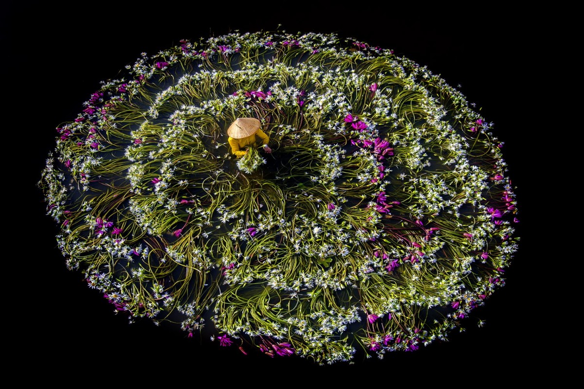 4ba9f169a7cd41ecad88e95d958c84ae_1763551